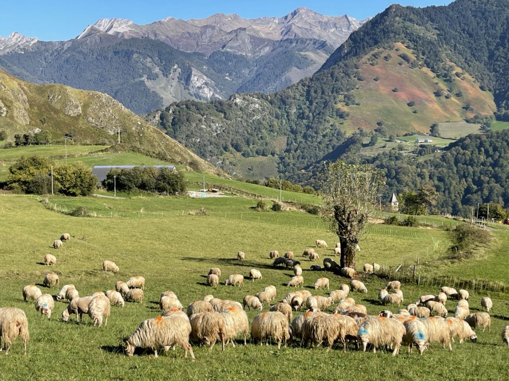 Lescun, Hautes Pyrénées, France