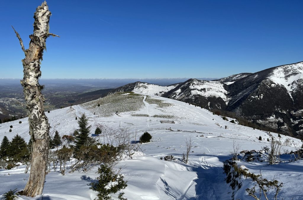 Vallée de Campan, Hautes Pyrénées, France